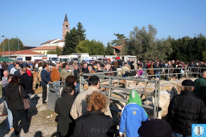 Fiera del lunedì (440).jpg